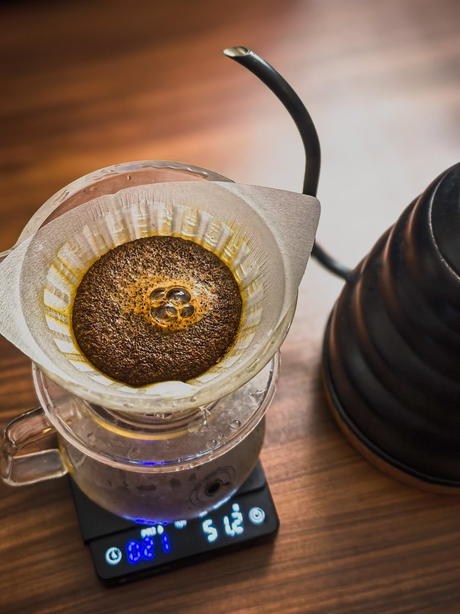 محسن tweet media