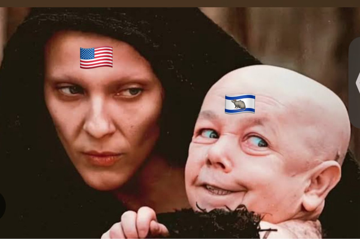 elMatasapos tweet media