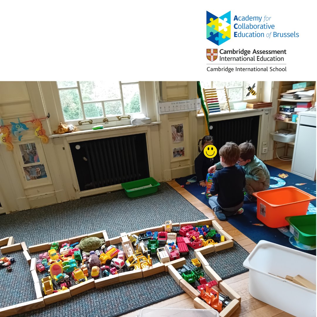 ACE of BRUSSELS INTERNATIONAL SCHOOL tweet media