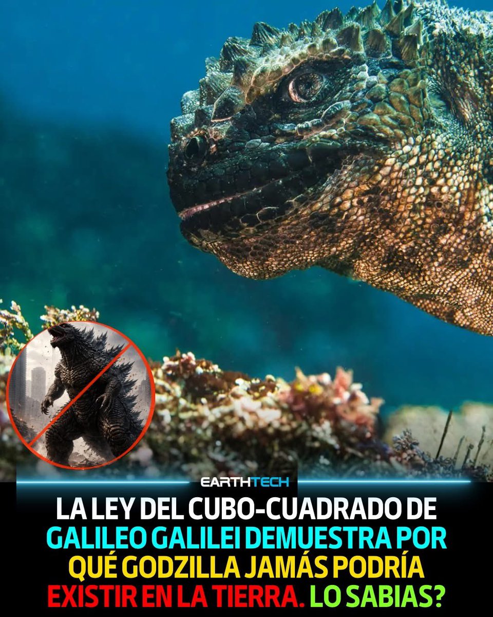 My name is M. Only M tweet media