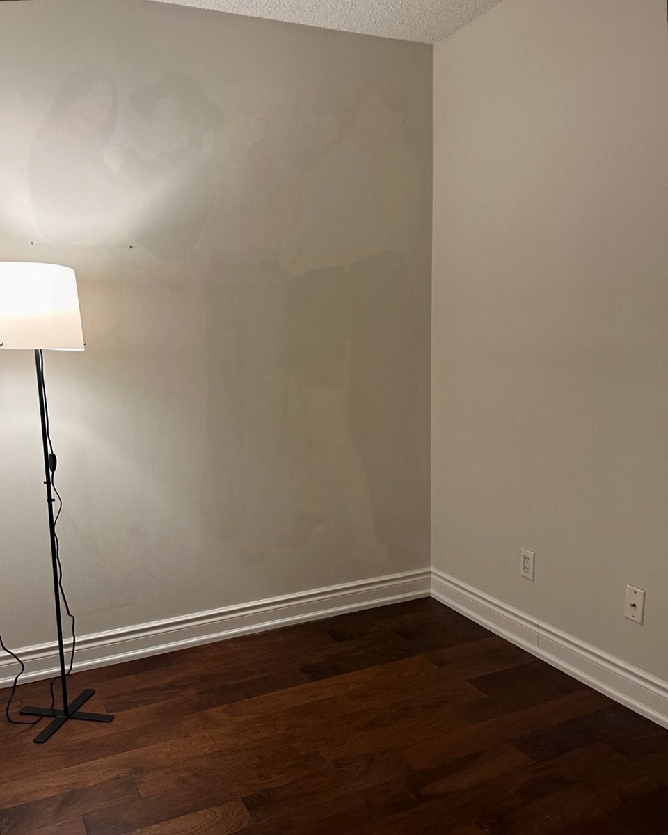 i think i see red velvet on my walls. hi red velvet 🩷