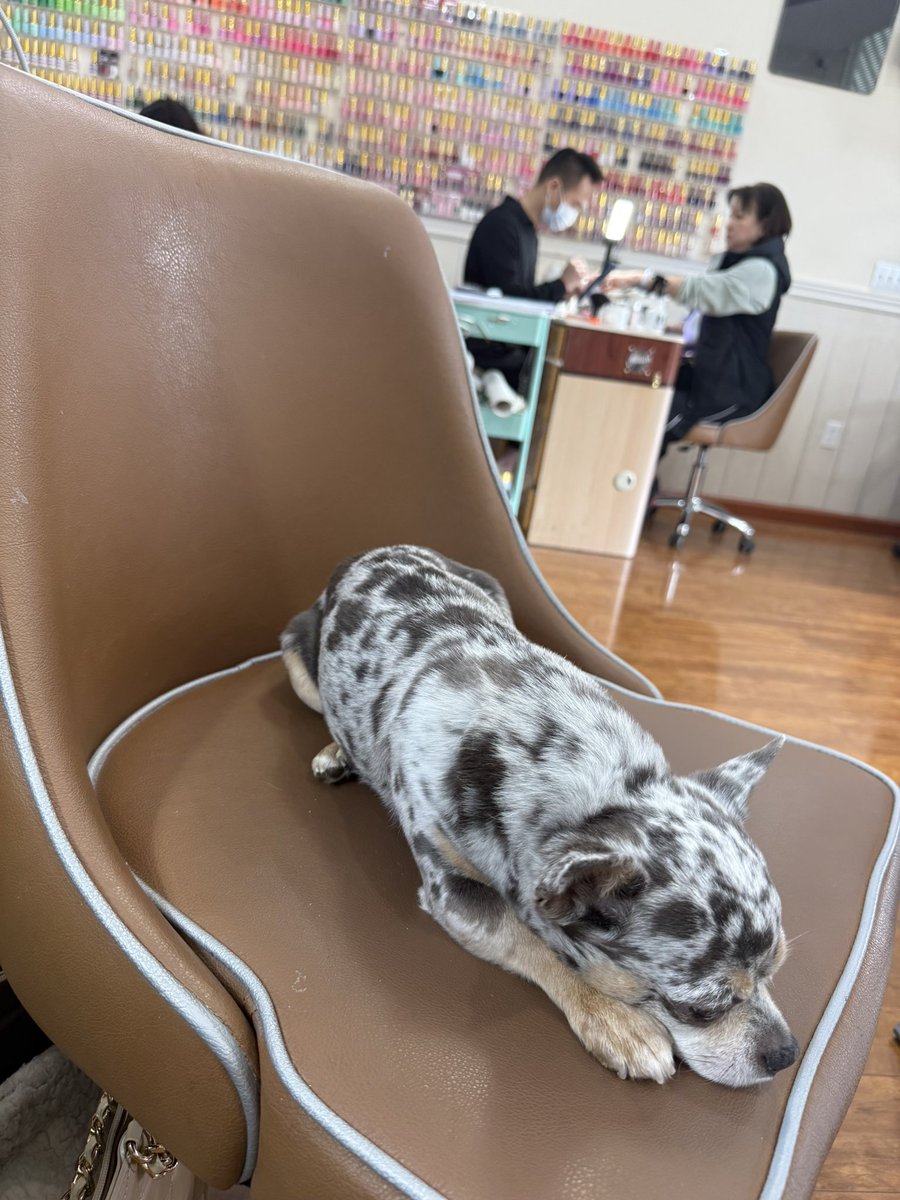 Danielle tweet media