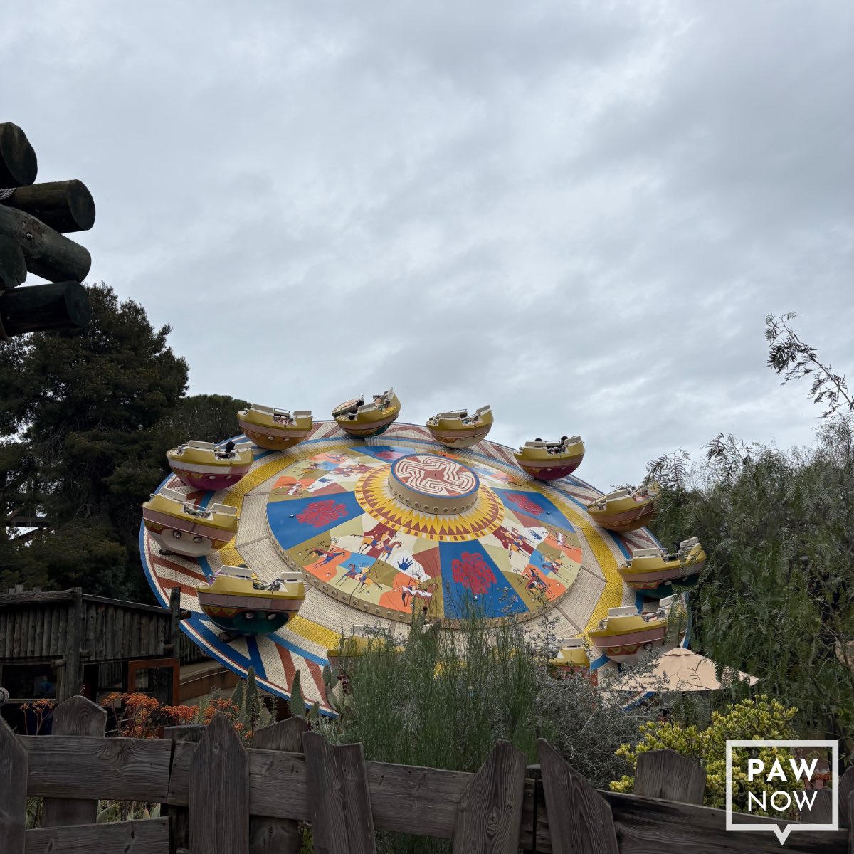 PAW Now 🌐 tweet media