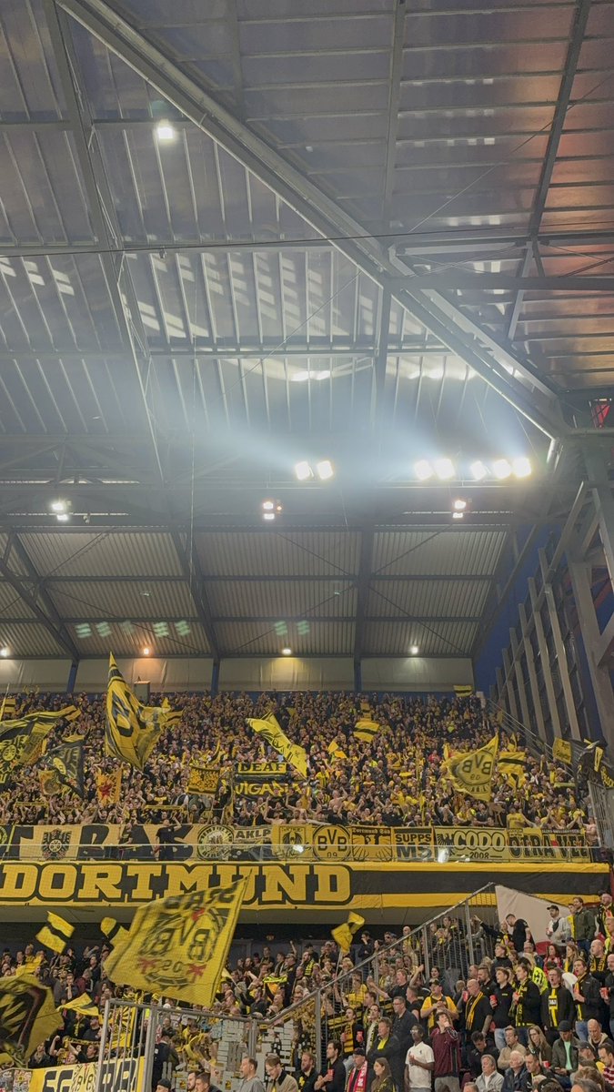 Sjoerd Mossou tweet media