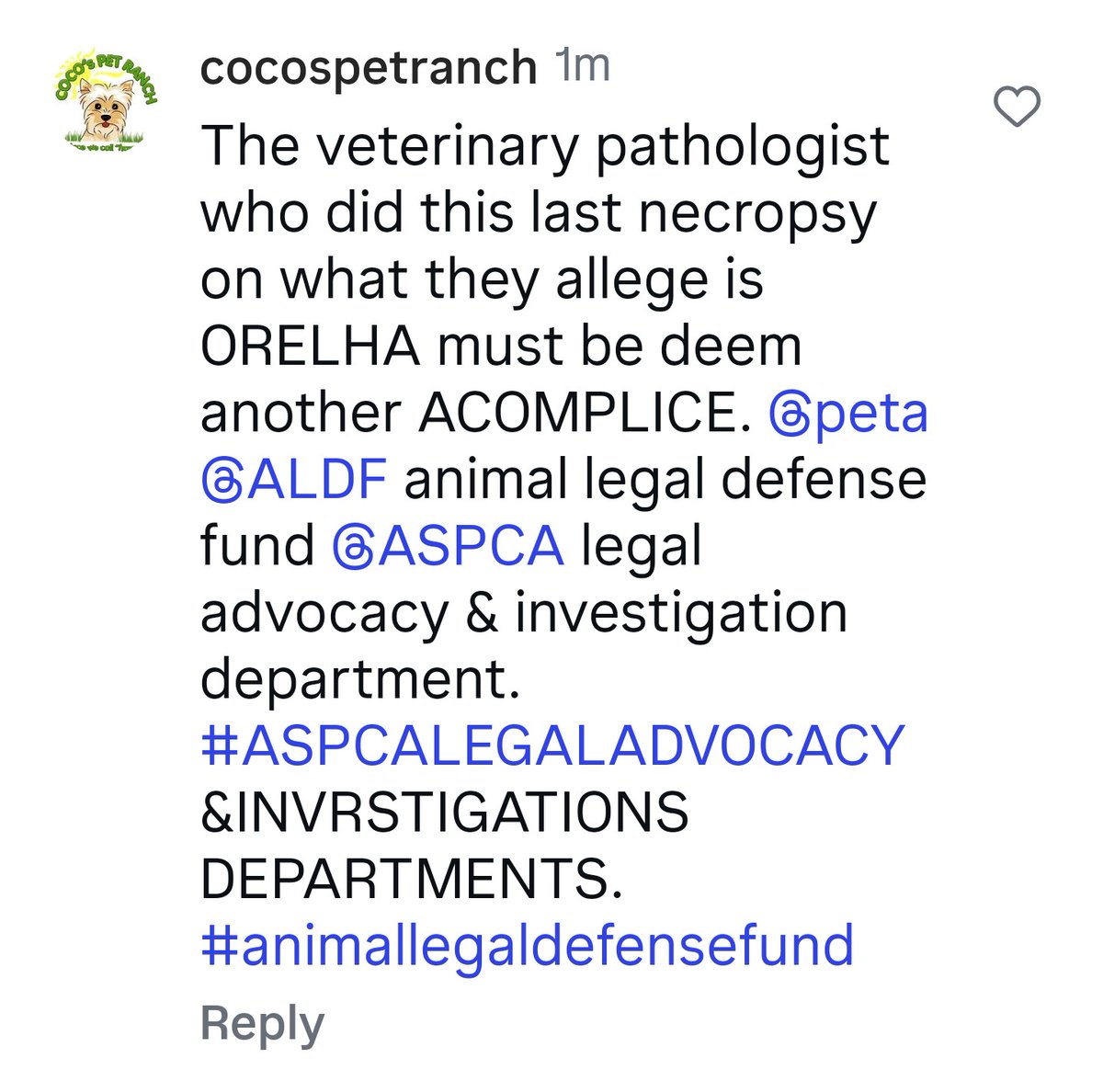 Maria tweet media