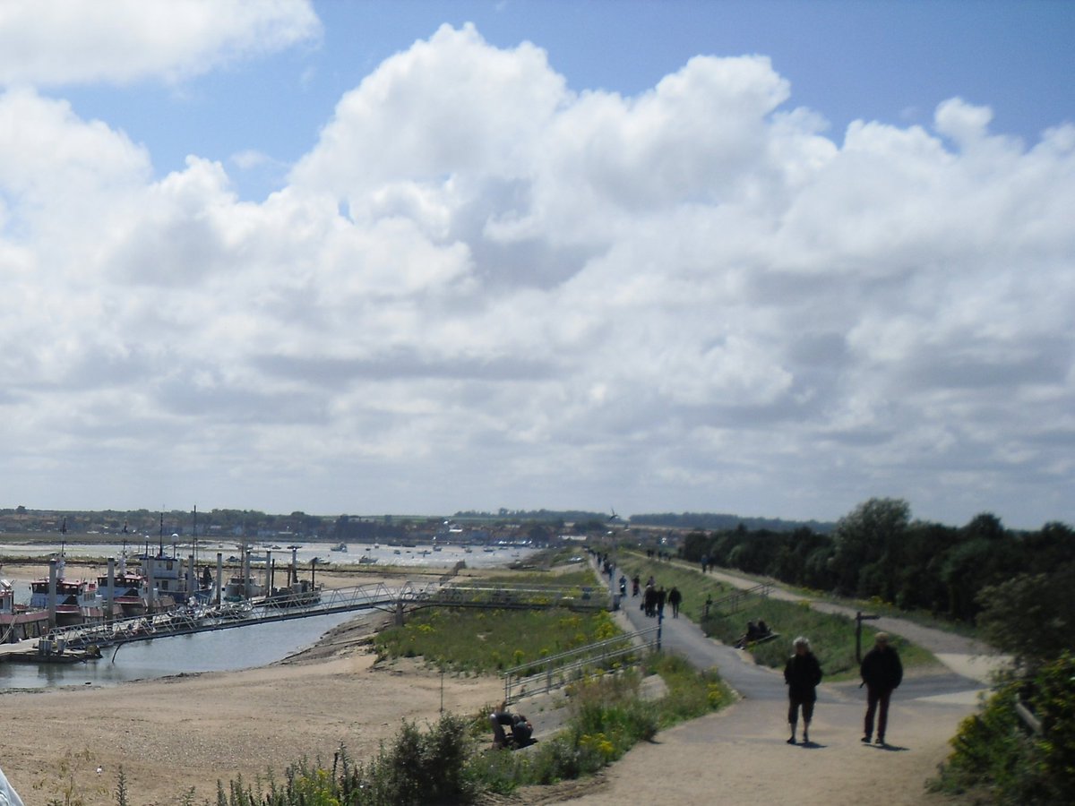 Donna Mary tweet media