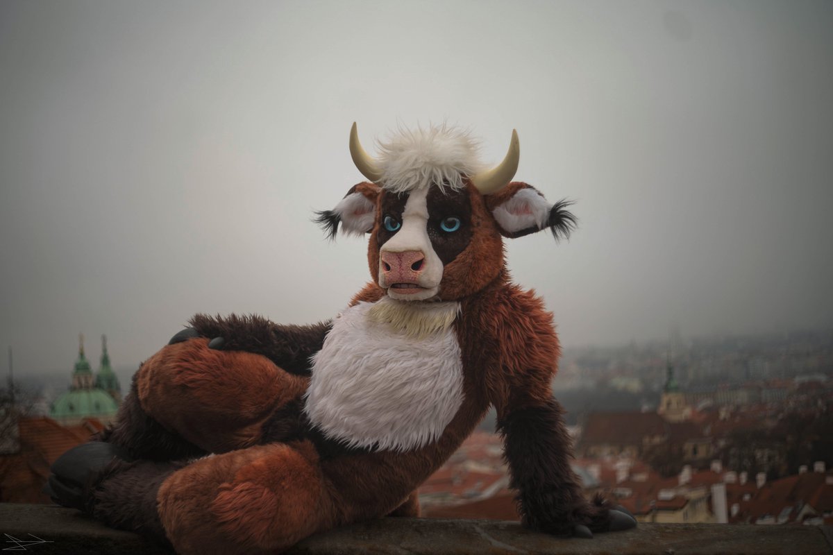 Lick's Photo tweet media