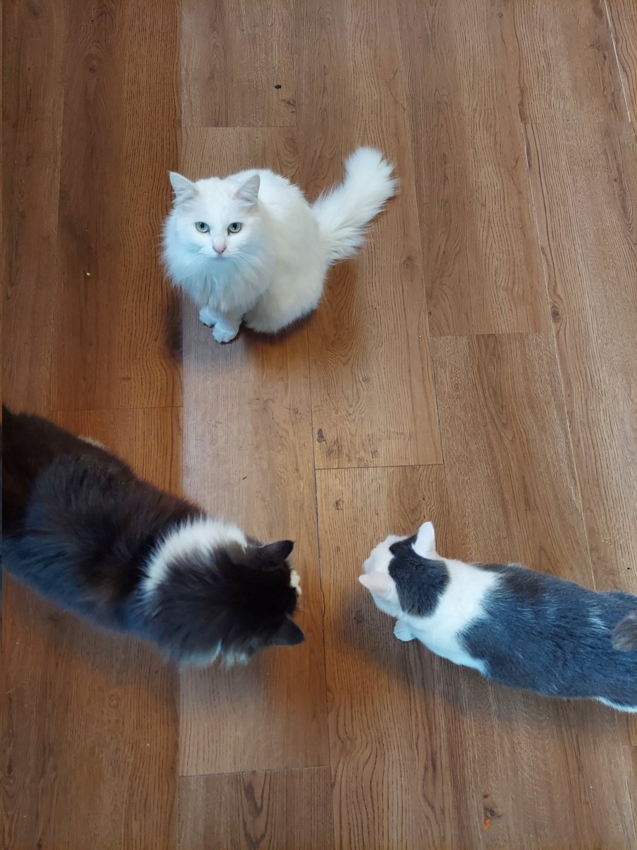 Yes , we are have an Gatherimg. Yes, it is Secret ,