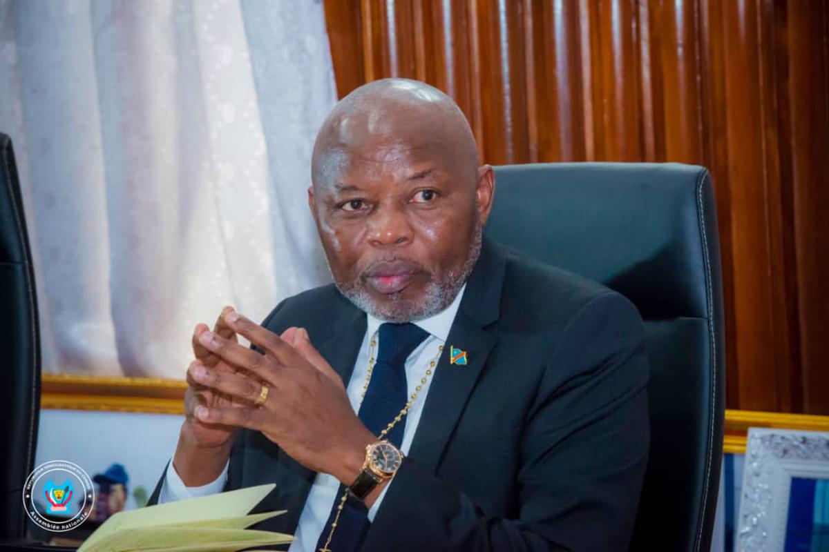 🔴🇨🇩RDC: «La révision de la Constitution est constitutionnelle, tandis que le changement de la Constitution n'est pas constitutionnel», Vital Kamerhe.🇨🇩🔴