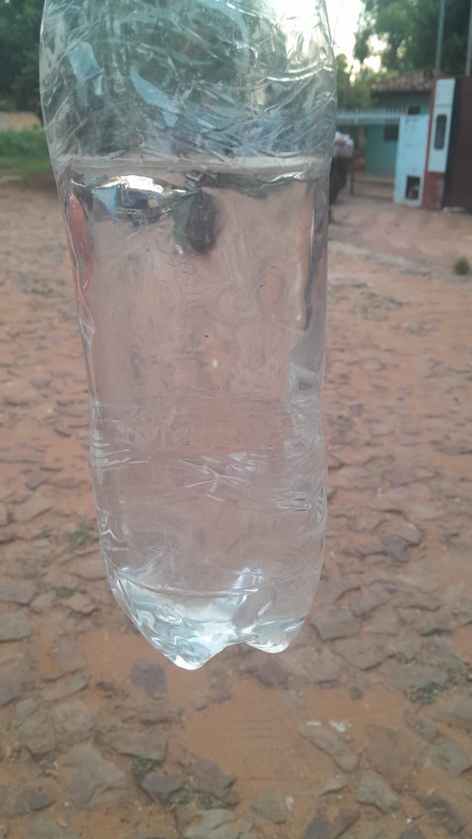 Luifer Bernal tweet media