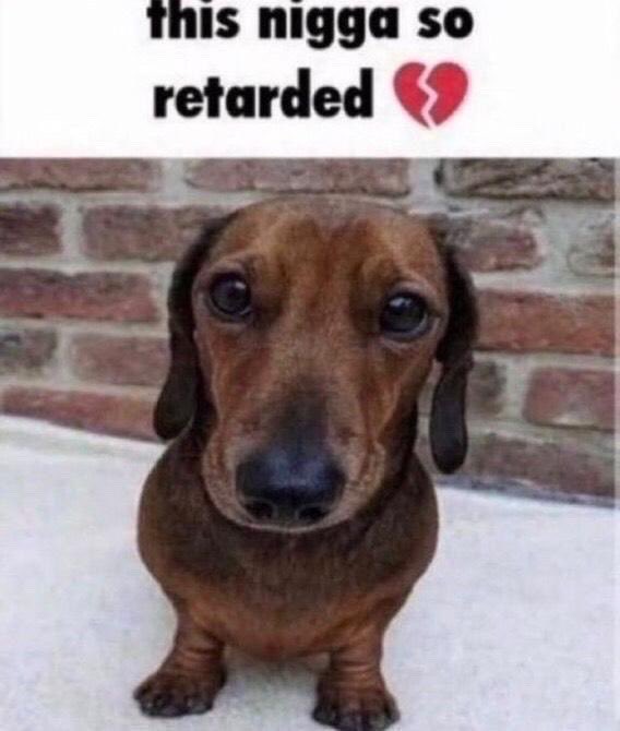 Lindor and Soto enjoyer tweet media