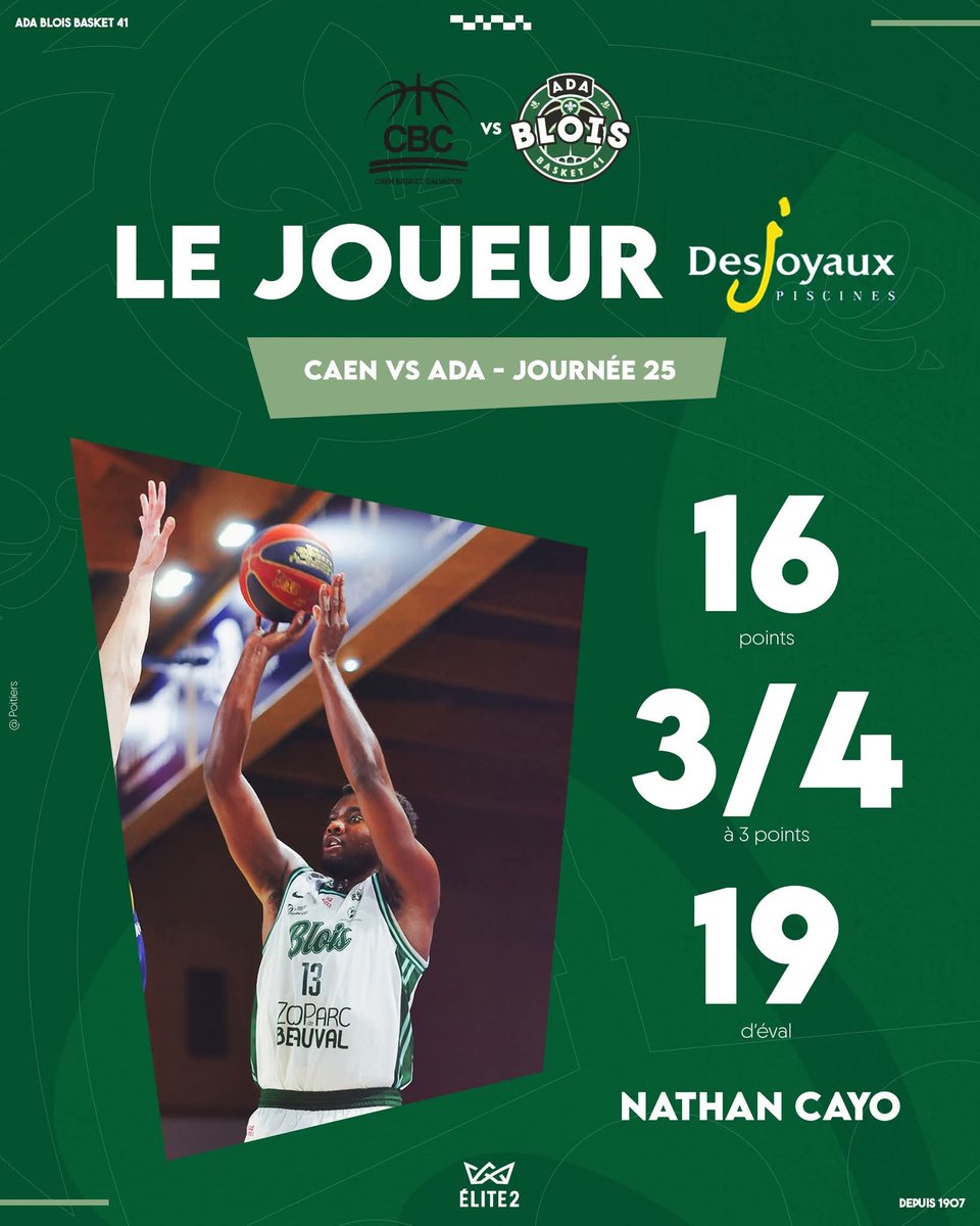 🐝 ADA Blois Basket 41 🐝 tweet media