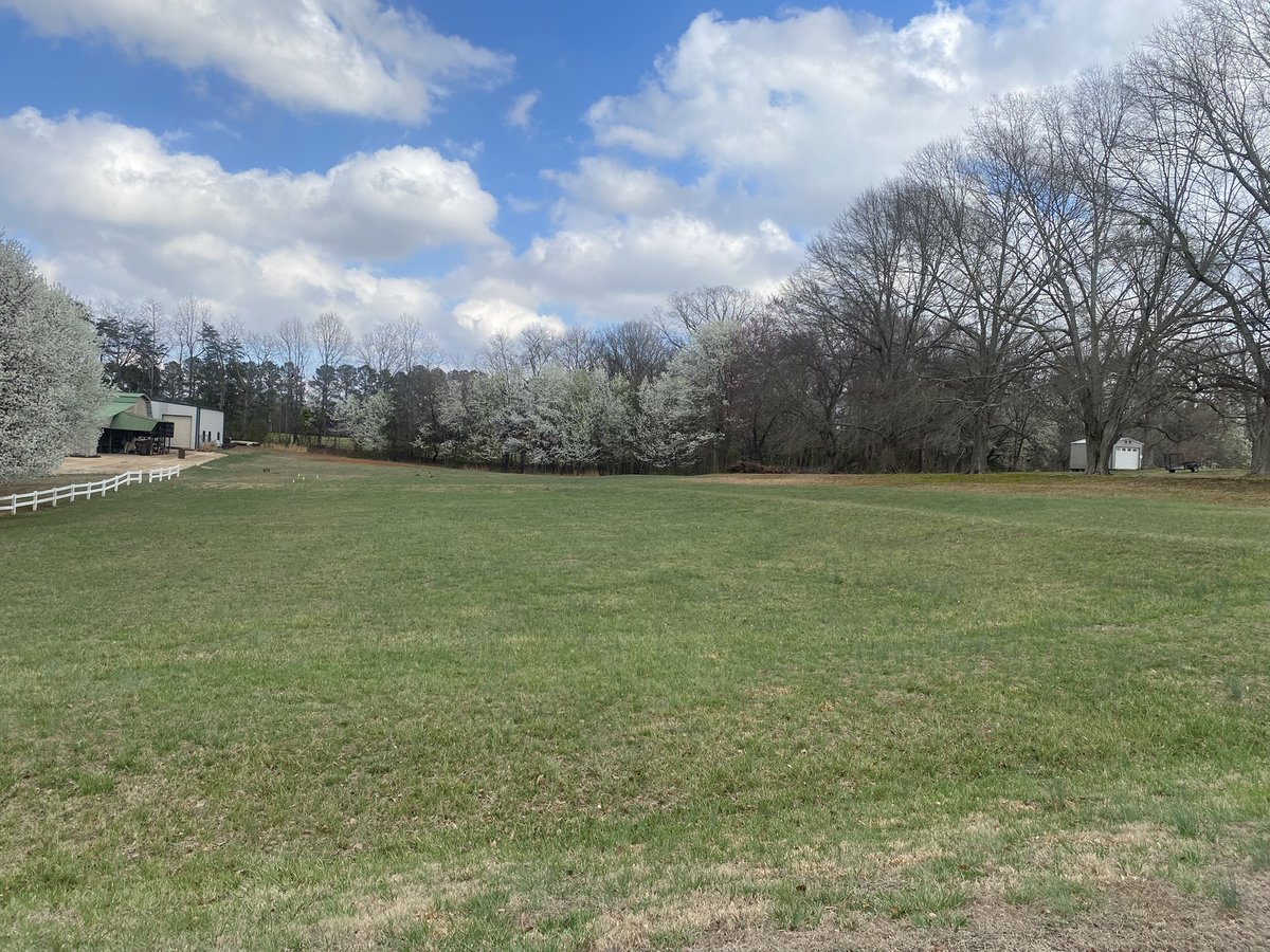 Michelle Baker tweet media