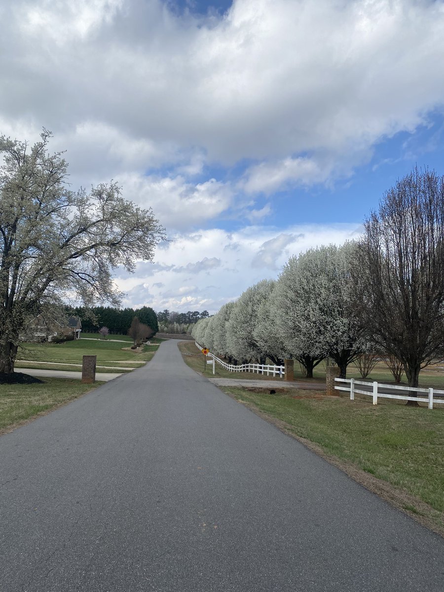 Michelle Baker tweet media