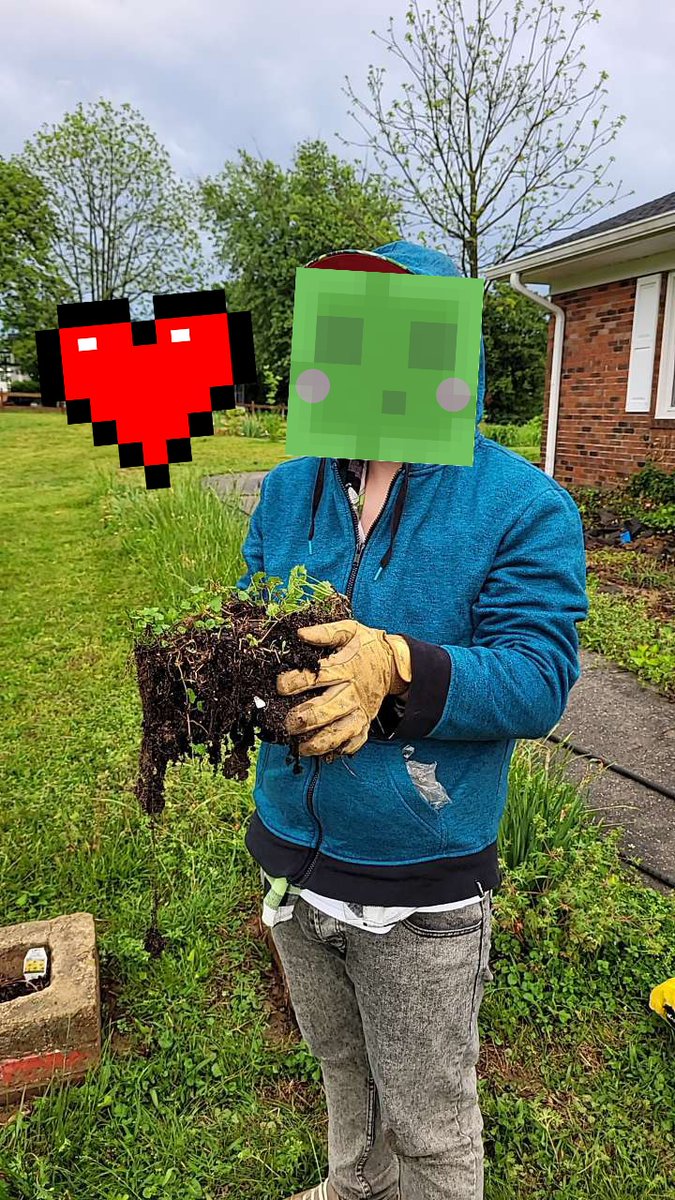 WilSlime0711's tweet image. This texture pack is INSANE 💚🌱

#minecraft #Minecraftbuilds #minecrafthouse #slime #gardening