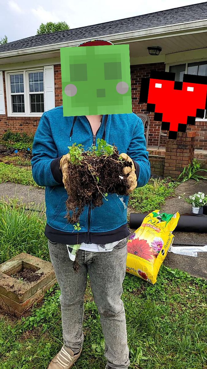 WilSlime0711's tweet image. This texture pack is INSANE 💚🌱

#minecraft #Minecraftbuilds #minecrafthouse #slime #gardening