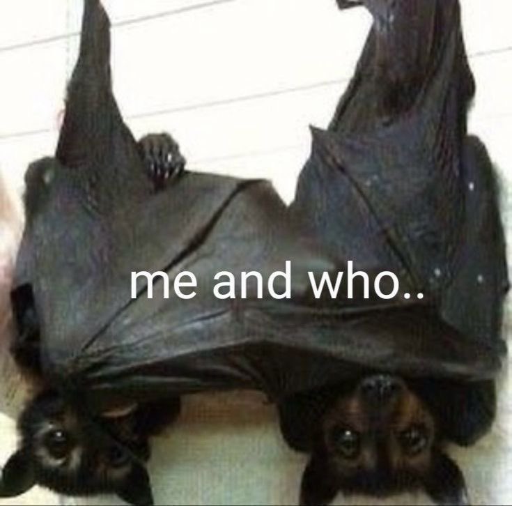 goth aesthetics (@gothsthetiques) on Twitter photo 