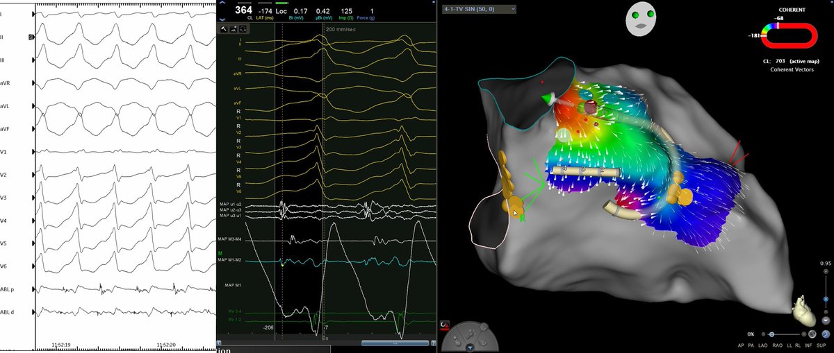 Giovanni Coluccia tweet media