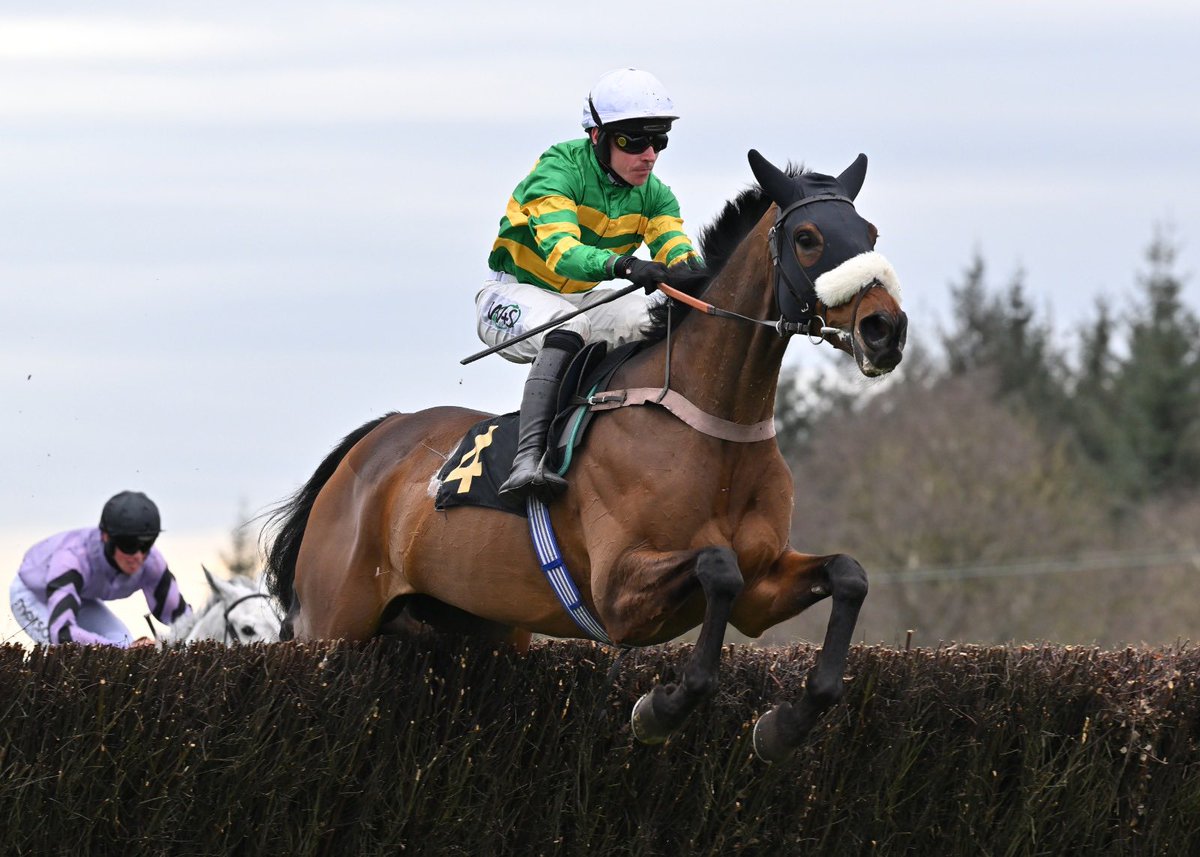 Harry Fry Racing tweet media