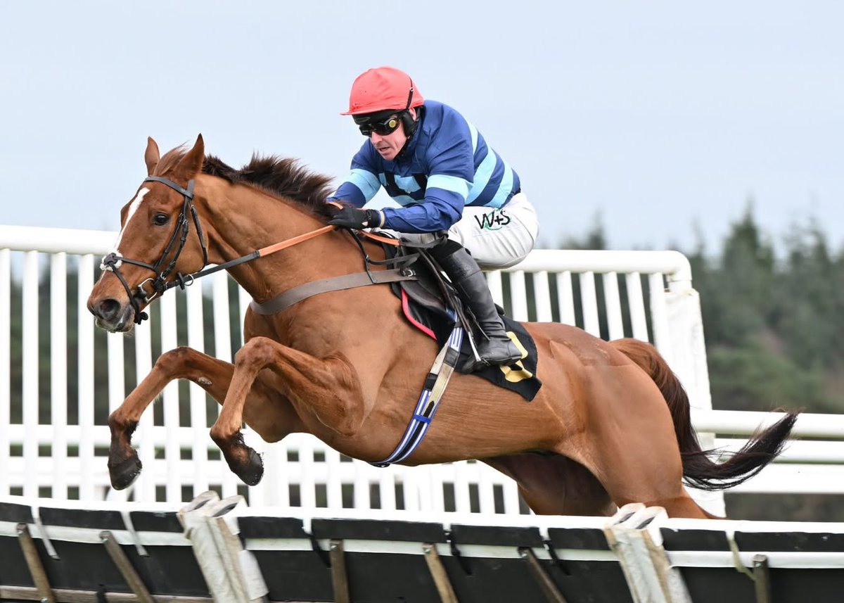 Harry Fry Racing tweet media