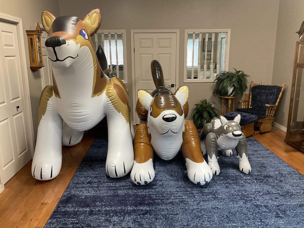 Dalton Everts tweet media