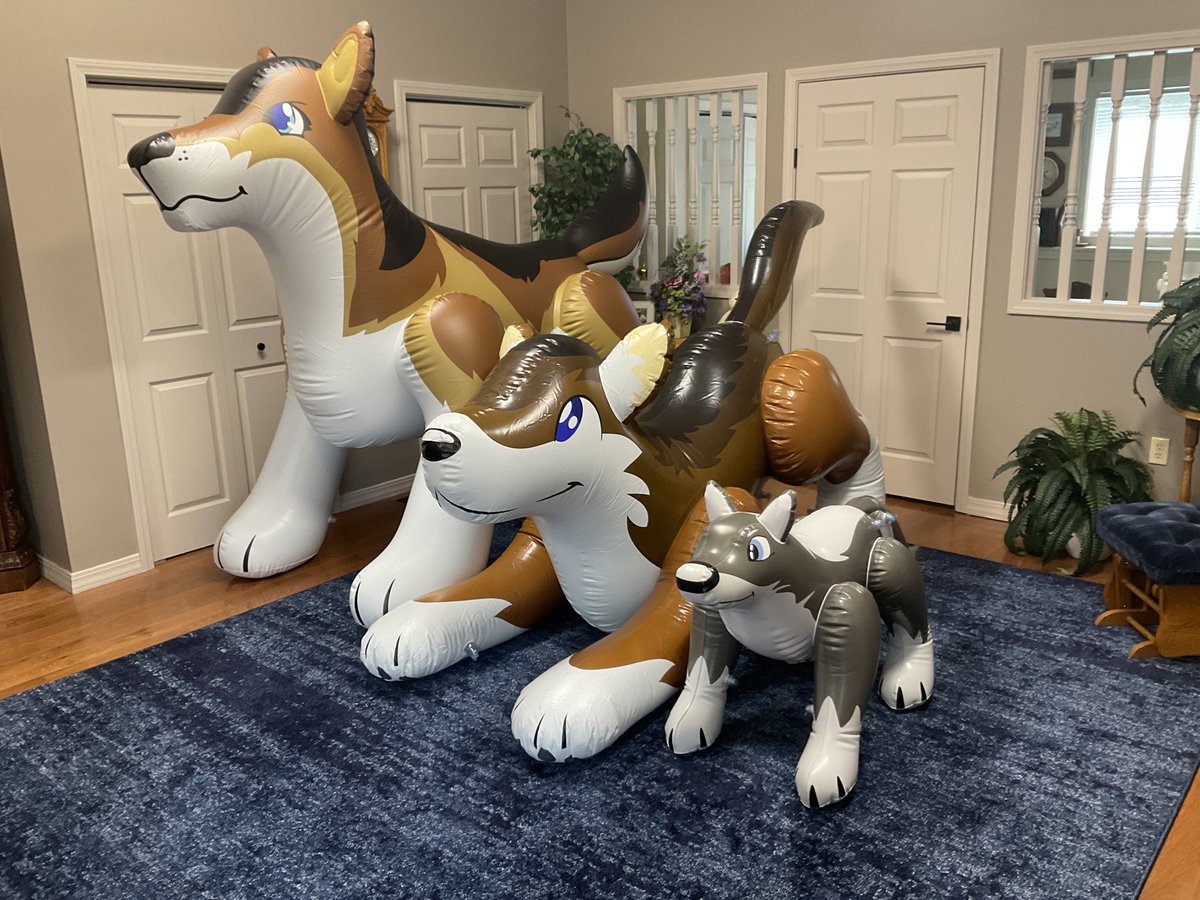 Dalton Everts tweet media