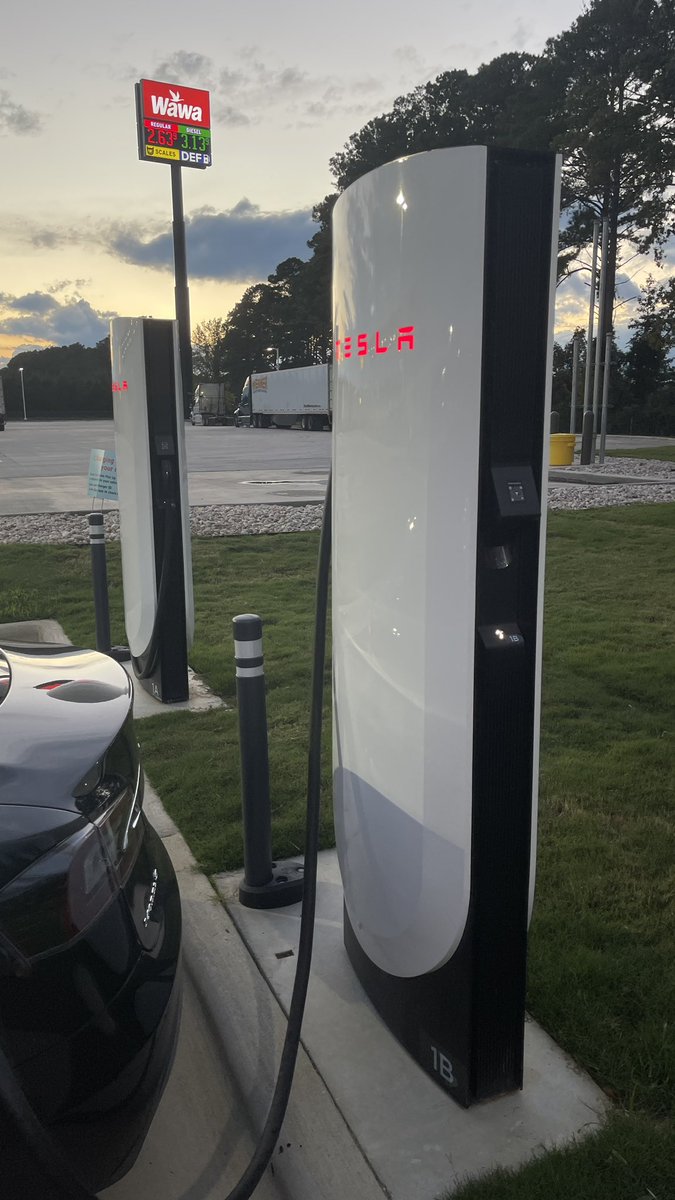 Watermelon Jelly Bean tweet media