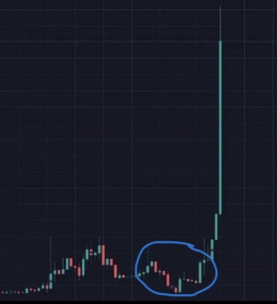 XRP QUEEN🤍 tweet media