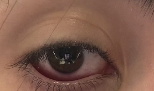 ALAN / FATAL #majinkisser9000🏳️⚧️🚯 tweet media