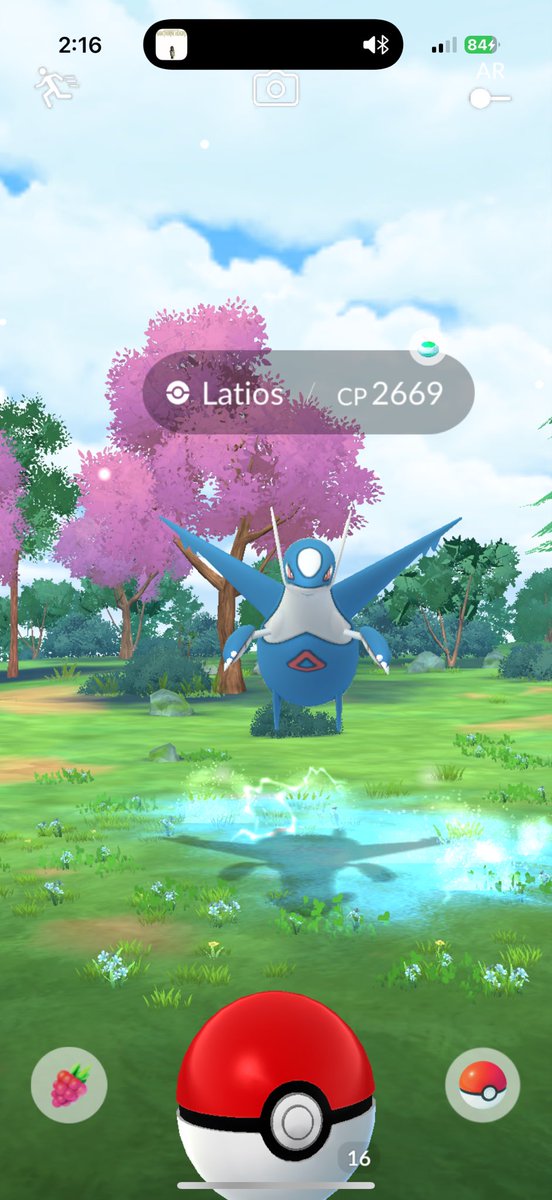 Toastee- tweet media