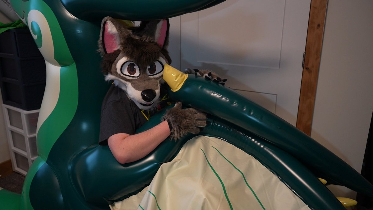 🎸IndieTimber🐺 🔜 Furlandia tweet media