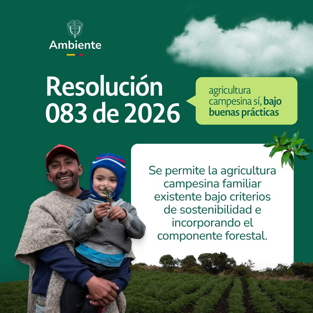 MinAmbienteCo's tweet photo. La resolución reconoce la agricultura campesina, familiar y comunitaria o de agroecología, como parte de la vida rural en las reservas forestales, siempre que se realice bajo buenas prácticas, mantengan las coberturas naturales presentes, integren el componente forestal y con un manejo ambiental responsable.

No autoriza expansión descontrolada ni actividades de alto impacto.