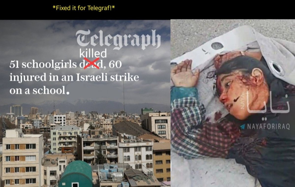TentaLZ tweet media