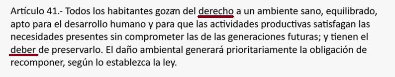 Aprobar la reforma de Ley de Glaciares de Milei es como poner a Yiya Murano a controlar tu tanque de agua. Logramos frenar el tratamiento express y va a haber audiencia pública el 25 y 26 de marzo. Hay que defender la vida. Nadie puede mirar para otro lado. Para poder participar