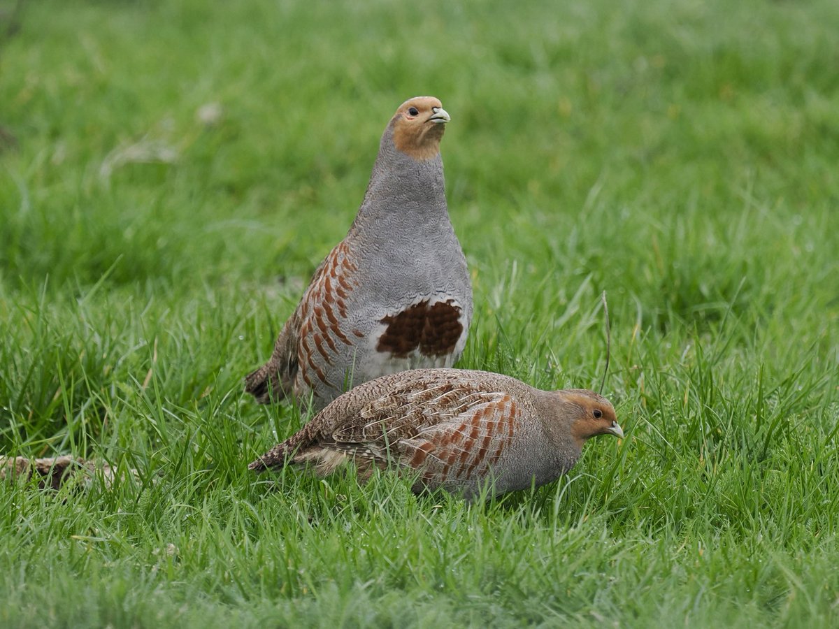 Rob Rackliffe tweet media