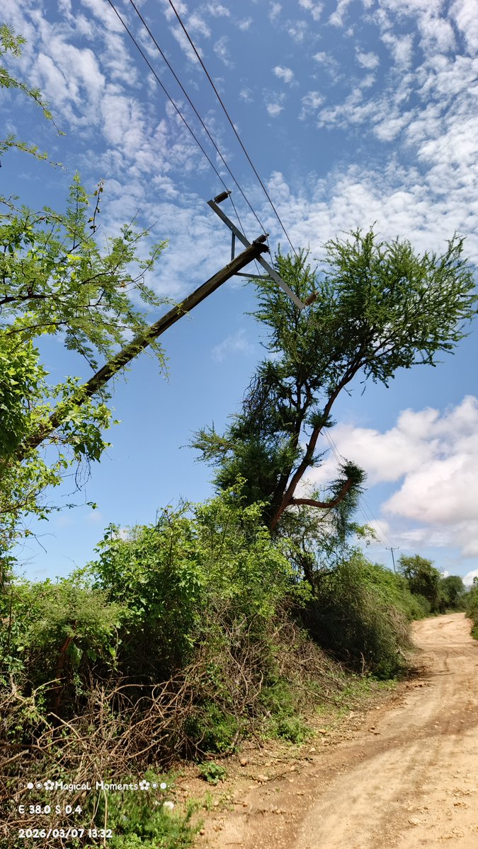 petmulenge's tweet photo. @KenyaPower_Care @KenyaPower power outage since 25th Feb 2026.
Where: Nthangani market of Thagicu SubCounty in Mwingi North. 
Landmark: Nthangani Primary School.
One of the reason is in the picture below: https://t.co/wnRbw3As78
