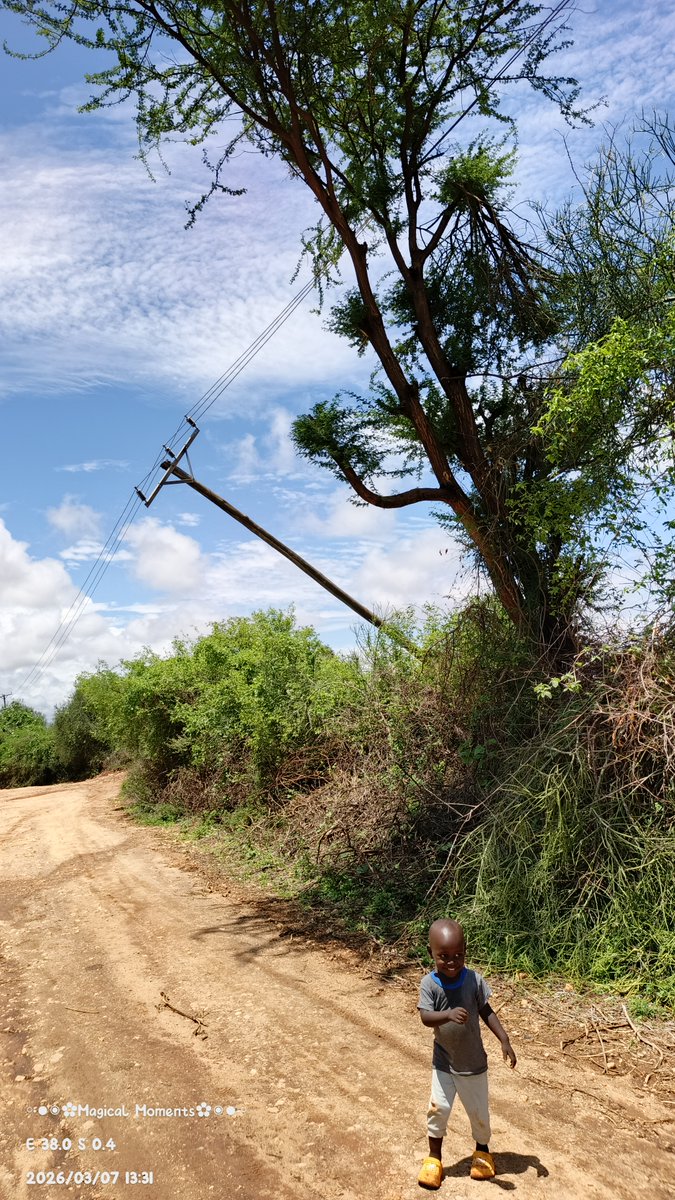 petmulenge's tweet photo. @KenyaPower_Care @KenyaPower power outage since 25th Feb 2026.
Where: Nthangani market of Thagicu SubCounty in Mwingi North. 
Landmark: Nthangani Primary School.
One of the reason is in the picture below: https://t.co/wnRbw3As78