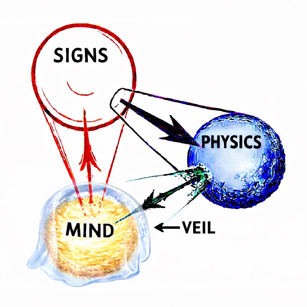 Alex Buckley tweet media