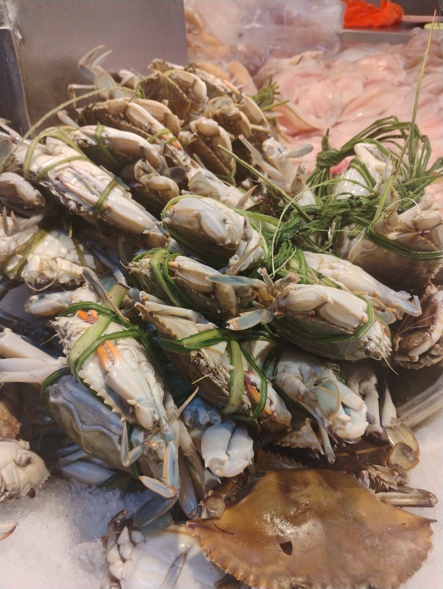 vicentegtz tweet media