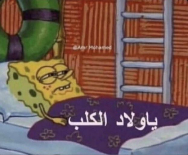 ALshamsi 🇵🇸 +3 tweet media