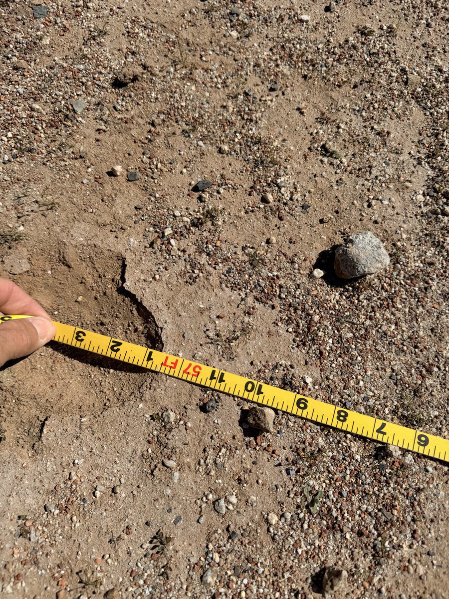 J.T. Ayers 🇺🇸 tweet media