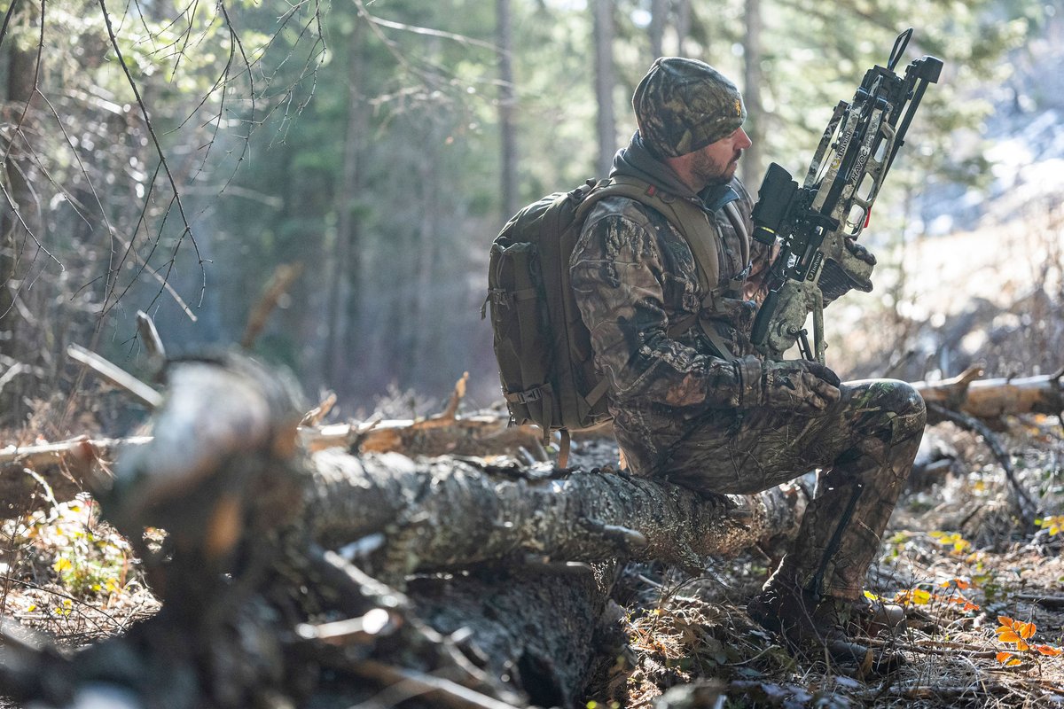 Archery Trade Association tweet media