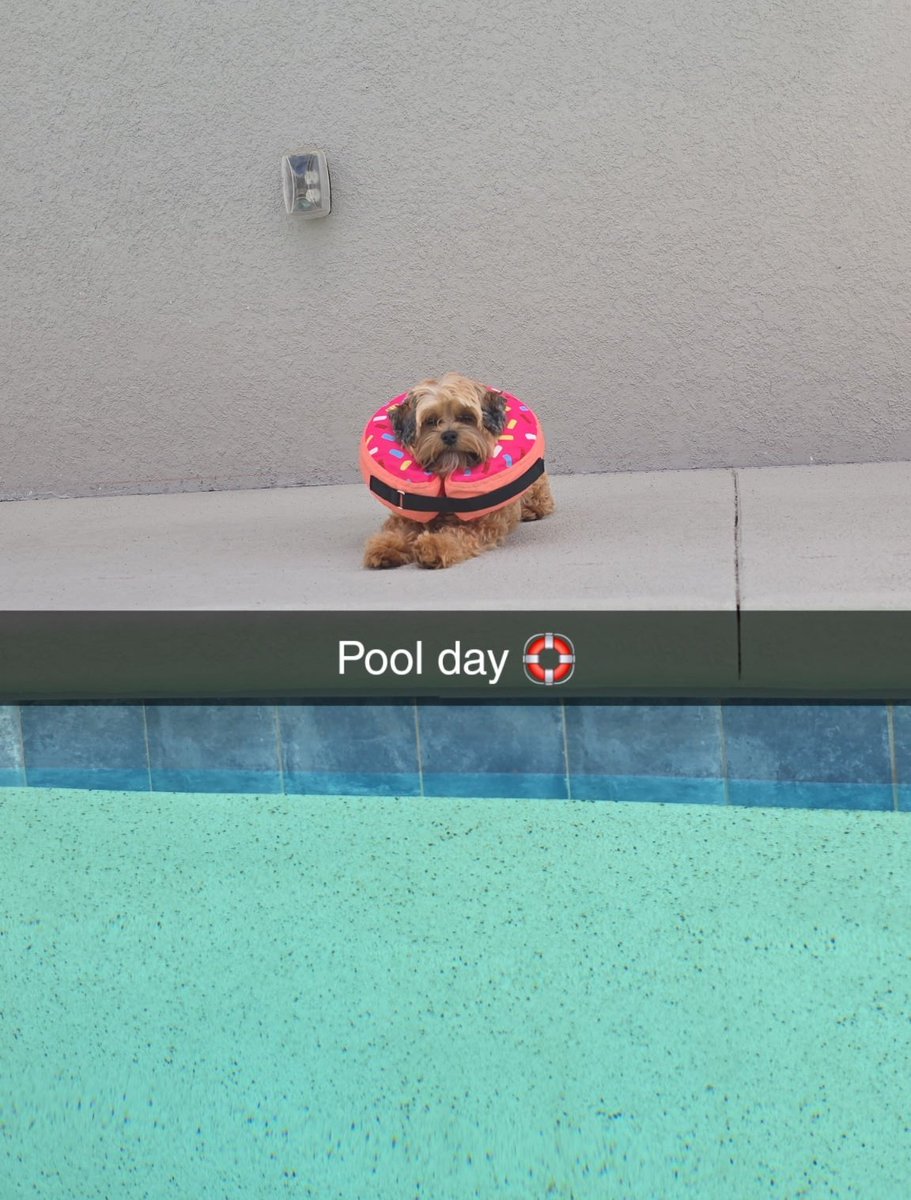 Berry 🍓 tweet media