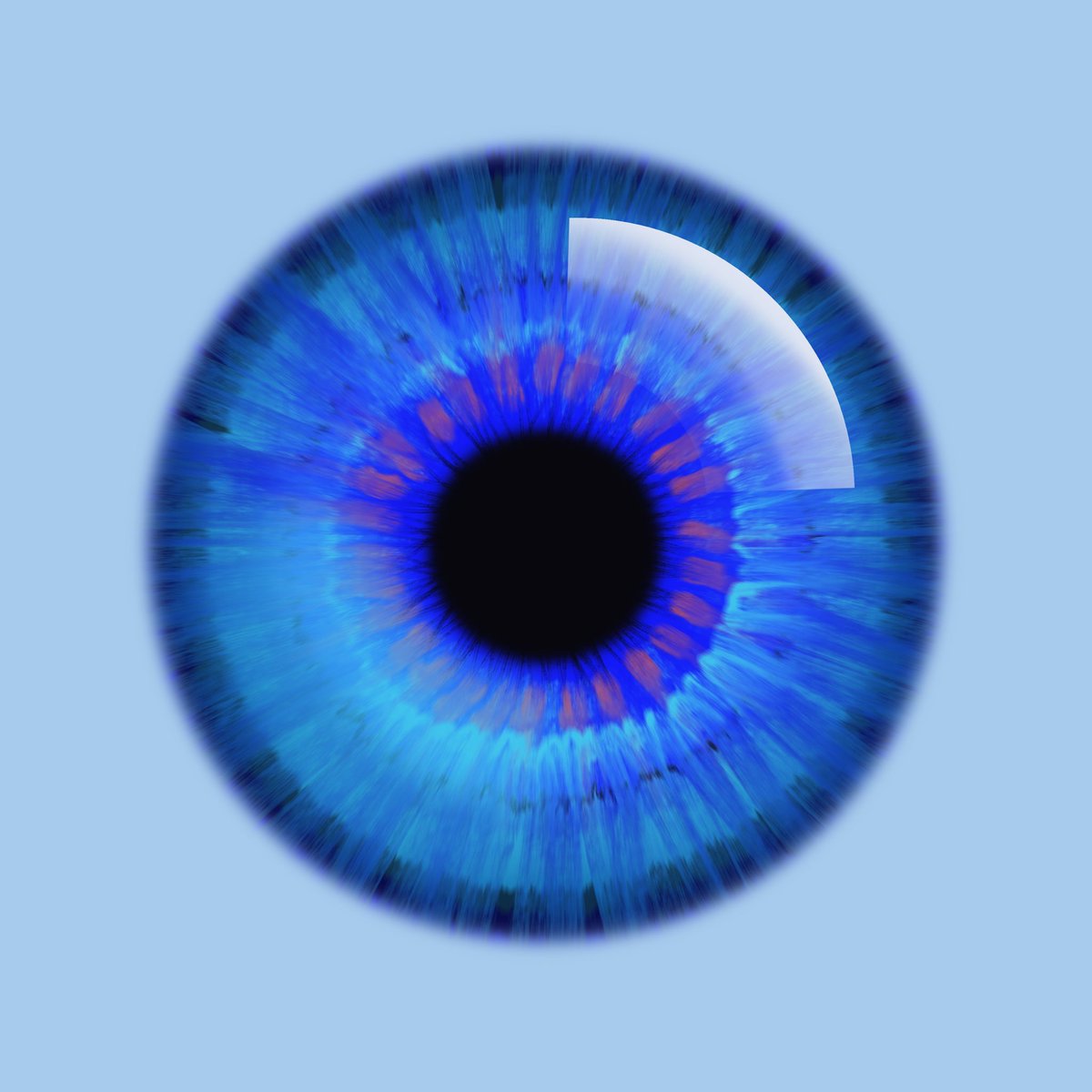 Jordan Crowder tweet media