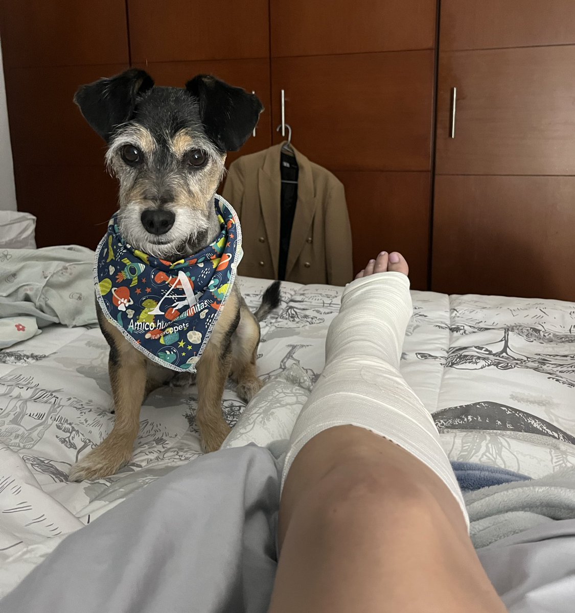 Marcee111's tweet photo. Pasar de ser demasiado independiente a volver a depender de alguien más para las cosas más básicas, ha sido lo más difícil de este proceso, sin embargo, uno siempre encuentra ángeles en el camino. ❤️‍🩹 https://t.co/ePw6v8Z20s