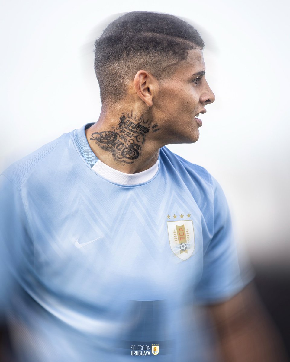 Selección Uruguaya tweet media