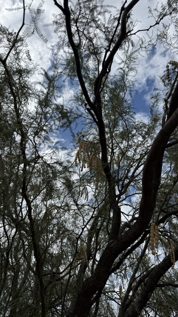 Guille La Pampa tweet media