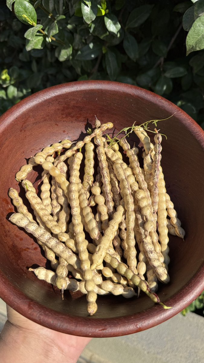 Guille La Pampa tweet media