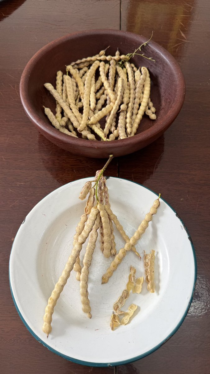 Guille La Pampa tweet media