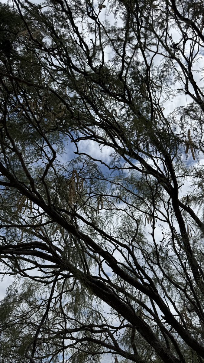 Guille La Pampa tweet media